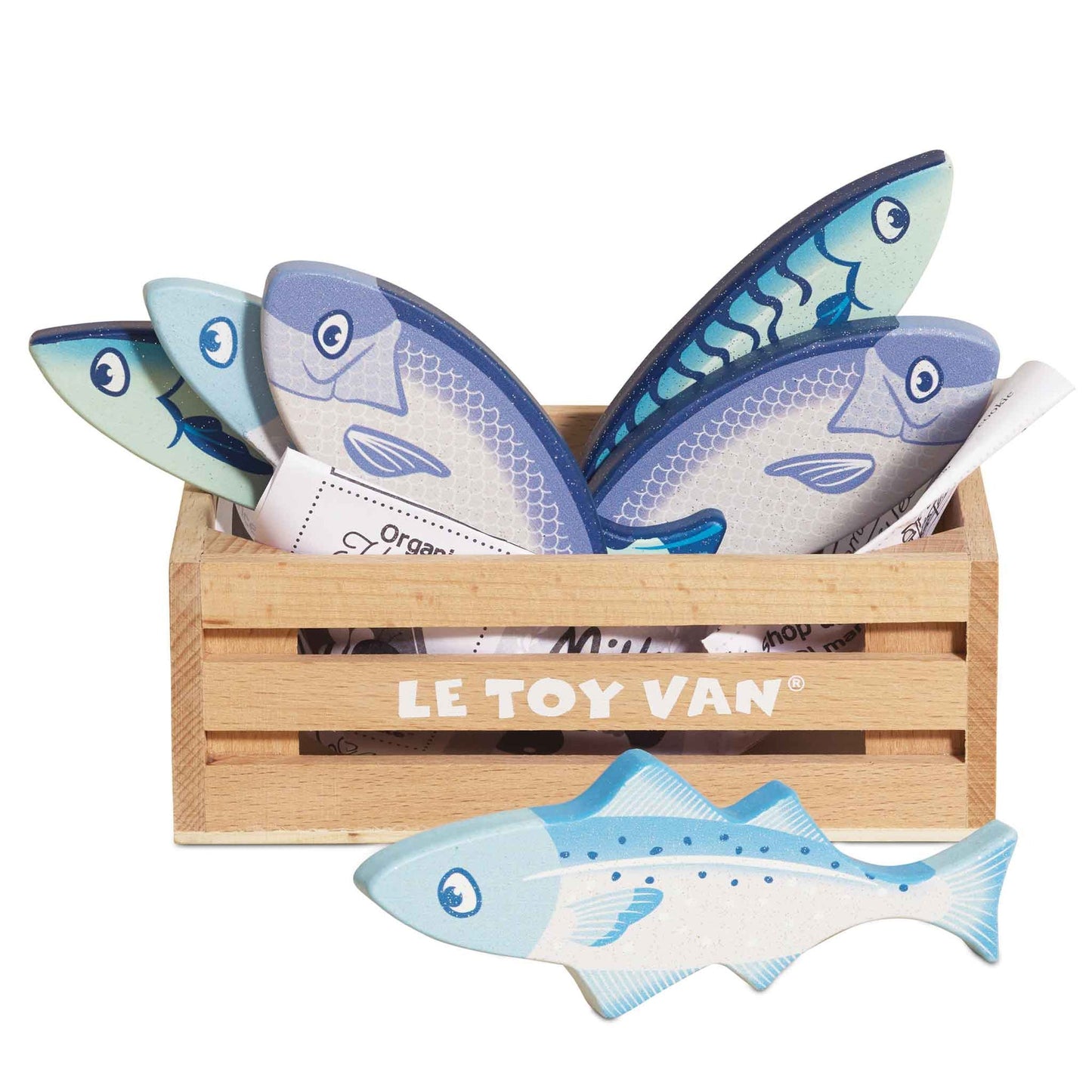 Caixa de Madeira com Peixes do Mercado